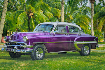 vintage beautiful classic car parked in tropical garden