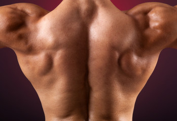 Close up of muscular back on dark background