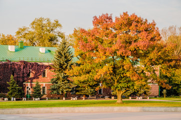 Colors of Autumn leaves in the hills Brest