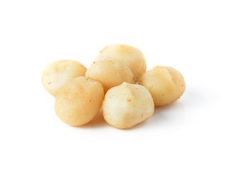 macadamia nuts isolated on white background