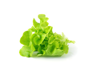 fresh green lettuce leaves isolated on white