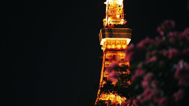 Reveal shot of Tokyo Tower with flowers in the foreground