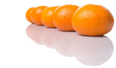 A row of Mandarin orange fruit over white background