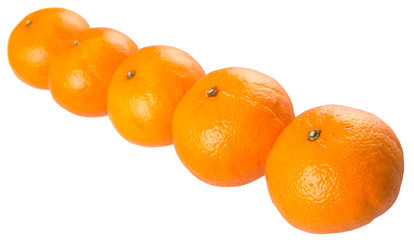 A row of Mandarin orange fruit over white background