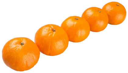 A row of Mandarin orange fruit over white background
