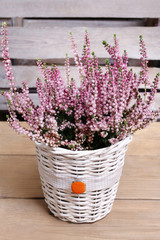 Heather in wicker basket