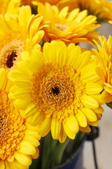 Bouquet of yellow gerbera daisies