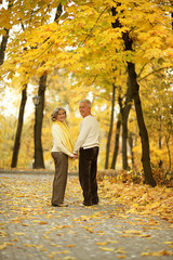 Cute elderly couple