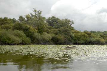lac de Grand Lieu, Loire Atlantique, 44,site Natura 2000