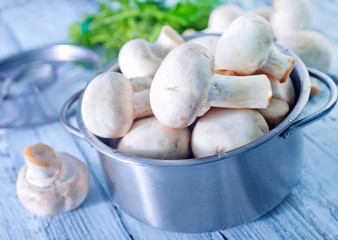 mushroom