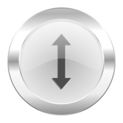 arrow chrome web icon isolated