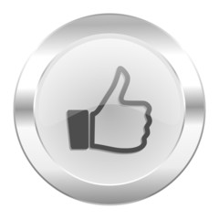 like chrome web icon isolated