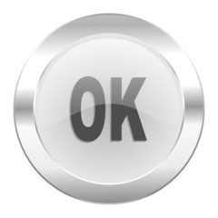 ok chrome web icon isolated