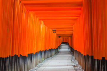 Fushimi Inari Taisha shrine in Japan