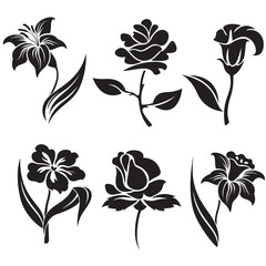 Vector set of black and white flowers. - 71762500