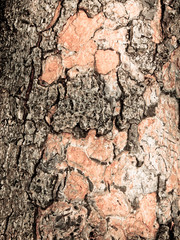 A background of wood