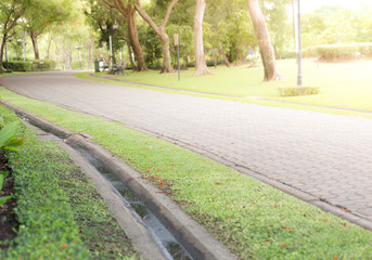 Paved Path in a Beautiful Formal Garden