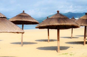 Beach umbrellas at the beach