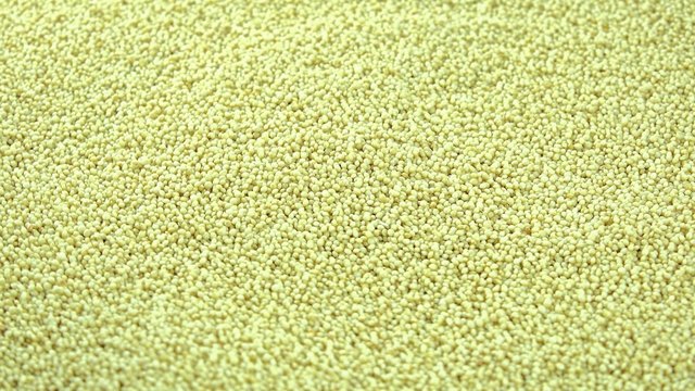 Portion of Amaranth as seamless loopable 4K UHD footage
