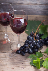Vine