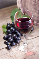 Vine