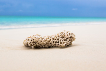 Paesaggi marini deli caraibi