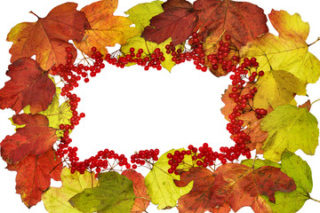 Naklejka na ściany i meble Autumn Leaf Frame