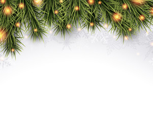 Christmas background with spruce branches.