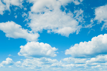 Fototapeta premium Sunny Skies