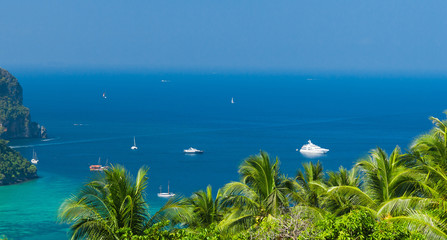 Scenic  Holidays Exotic Backdrop