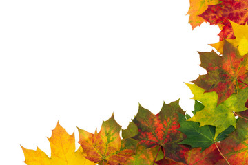 Autumn backdrop - frame composed of colorful autumn leaves