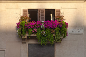 Fototapeta na wymiar Balcony on piazza Navona