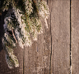 Fir tree covered with snow on wooden board