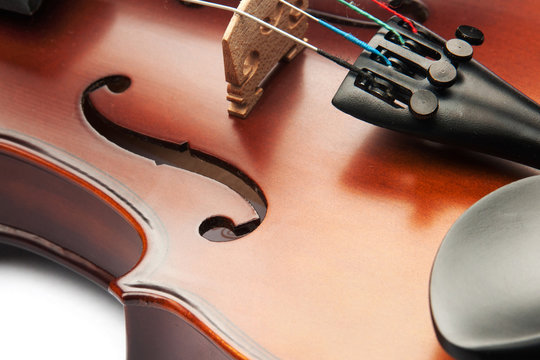violin