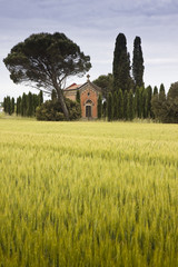 Fototapeta na wymiar Typical Tuscany Romanesque church (Italy)