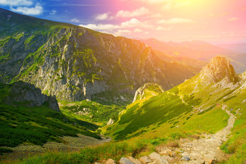 Fototapeta premium Górska droga, Polska Tatry.