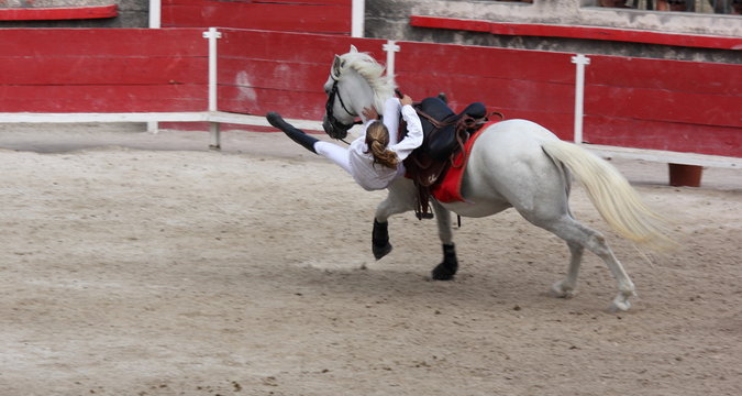 Haute voltige