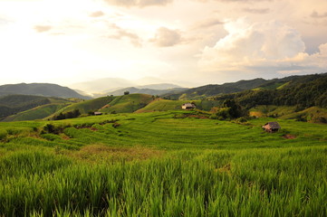 Rice Terraced Fields Landscape at Sunset
