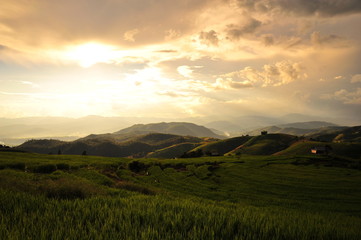 Rice Terraced Fields Landscape at Sunset