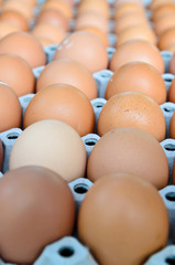 Egg is row on packaging