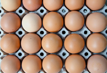 Egg is row on packaging