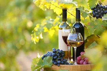Fotobehang Tasty wine on wooden barrel on grape plantation background © Africa Studio