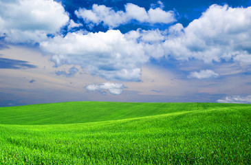 green field