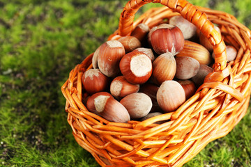 Hazelnuts in wicker basket, on green grass background