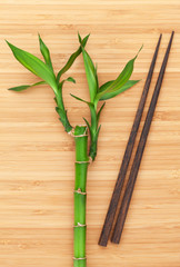 Bamboo plant and chopsticks