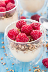 Yogurt with muesli and fresh raspberries