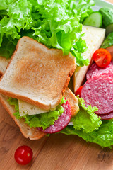 sandwich with salami and cheese