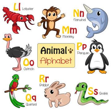Alphabet animals from L to S