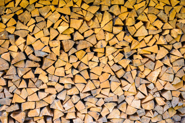 Background of bunch of felled tree