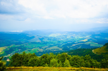 Naklejka premium summer in the mountains. Carpathian, Ukraine, Europe.